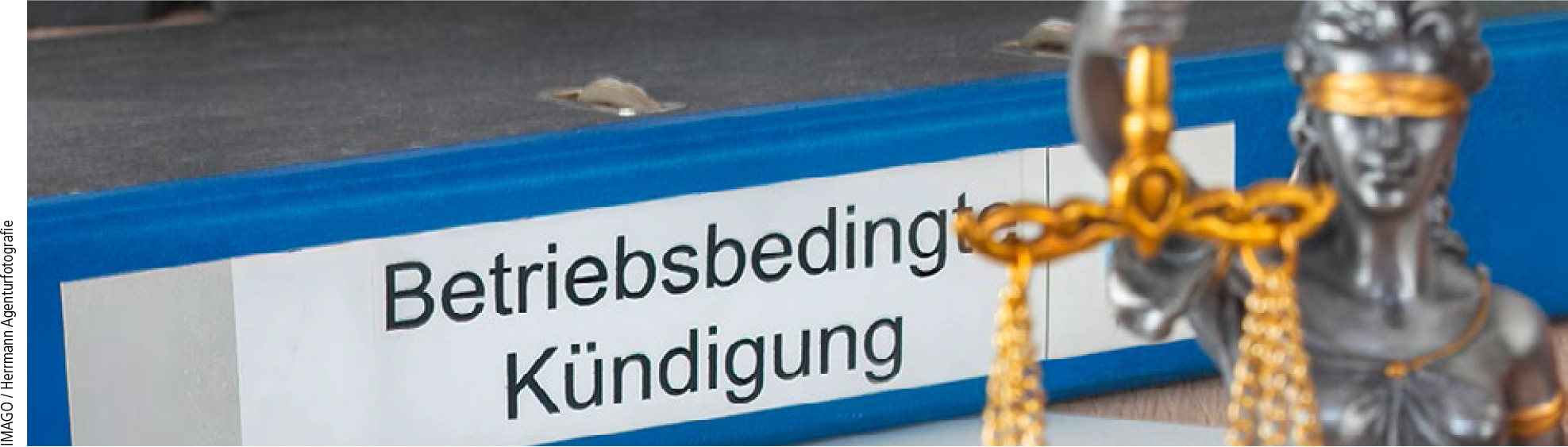 Abbildung 4